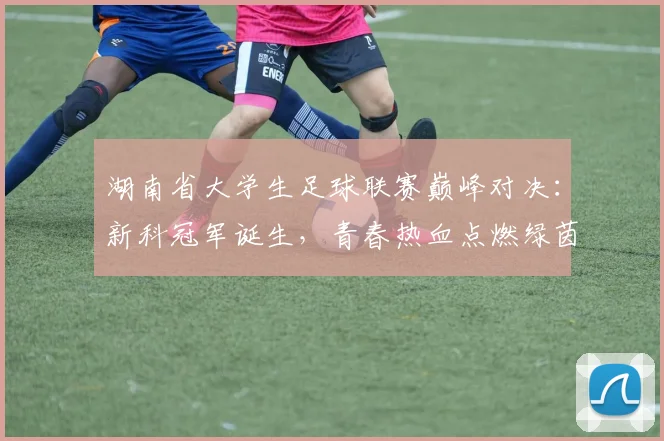 湖南省大学生足球联赛巅峰对决：新科冠军诞生，青春热血点燃绿茵场