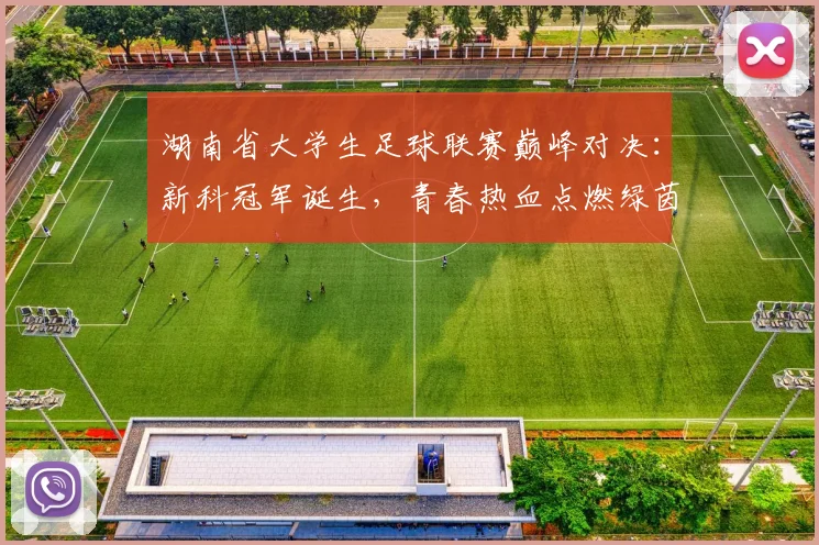 湖南省大学生足球联赛巅峰对决:新科冠军诞生,青春热血点燃绿茵场